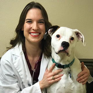 dr emily hobson