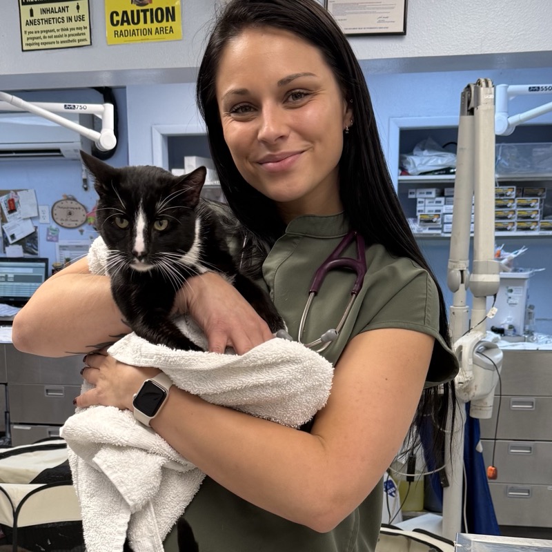 Dr. Babette SanMartin, veterinarian at Tropicana Animal Hospital