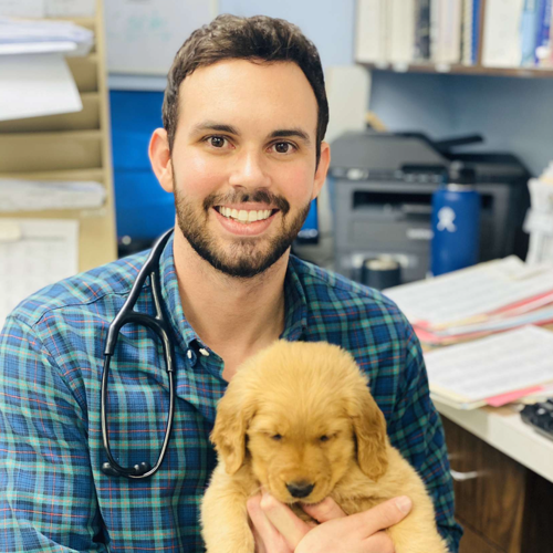 Dr. Christian Lay, veterinarian at Tropicana Animal Hospital