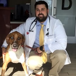 Dr. Matthew McCollum, veterinarian at Tropicana Animal Hospital