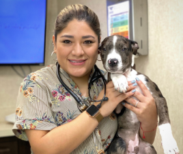 Dr. Sandra Gomez, veterinarian at Tropicana Animal Hospital